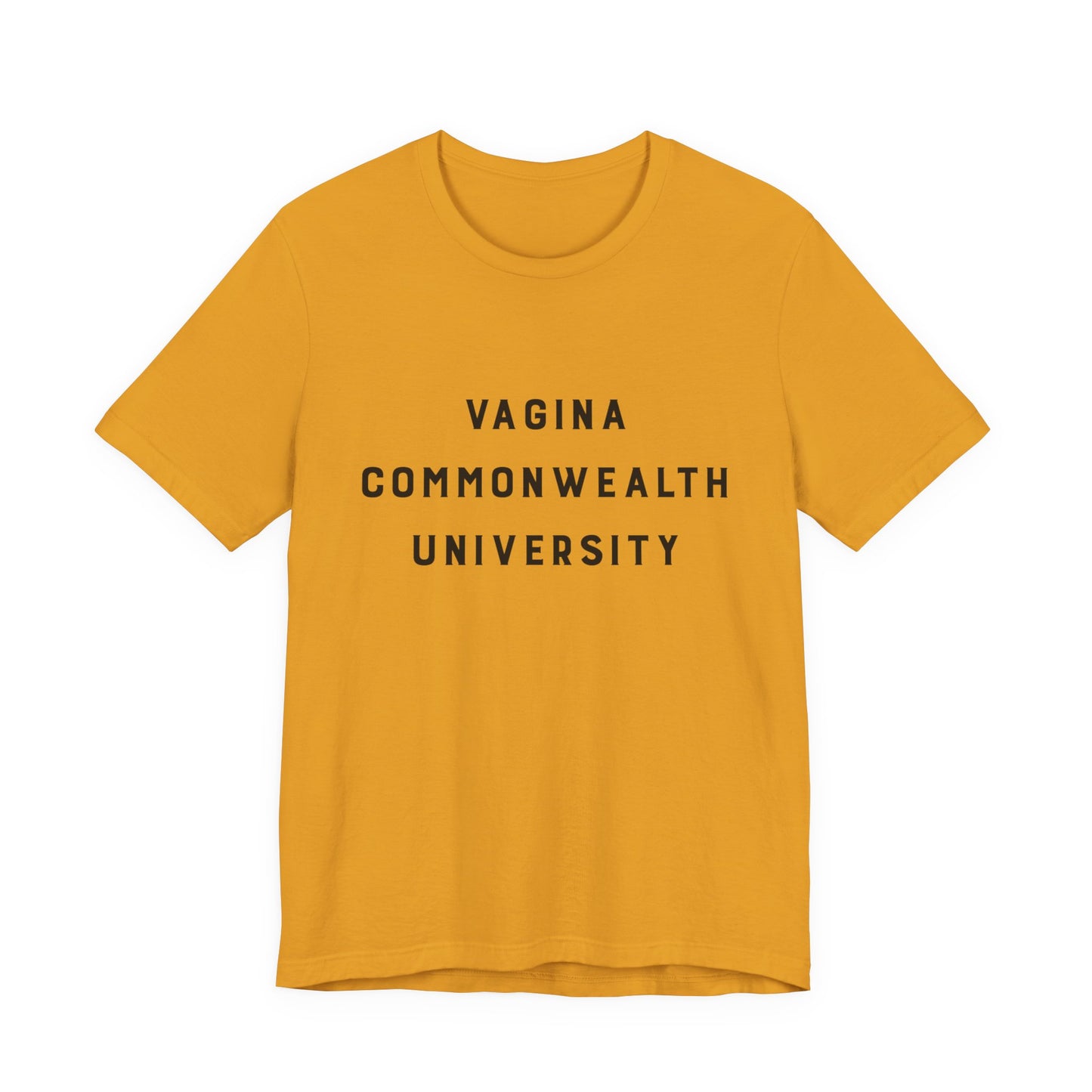 Vagina Commonwealth University Tee — Feminist College Humor Graphic T-Shirt
