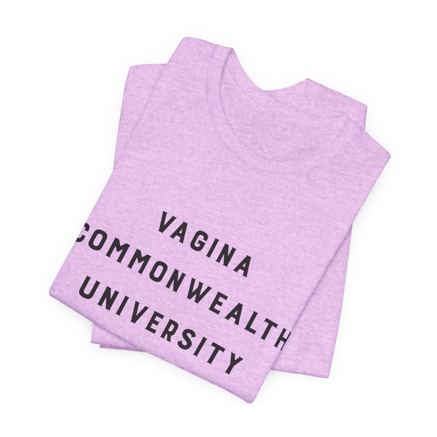 Vagina Commonwealth University Tee — Feminist College Humor Graphic T-Shirt